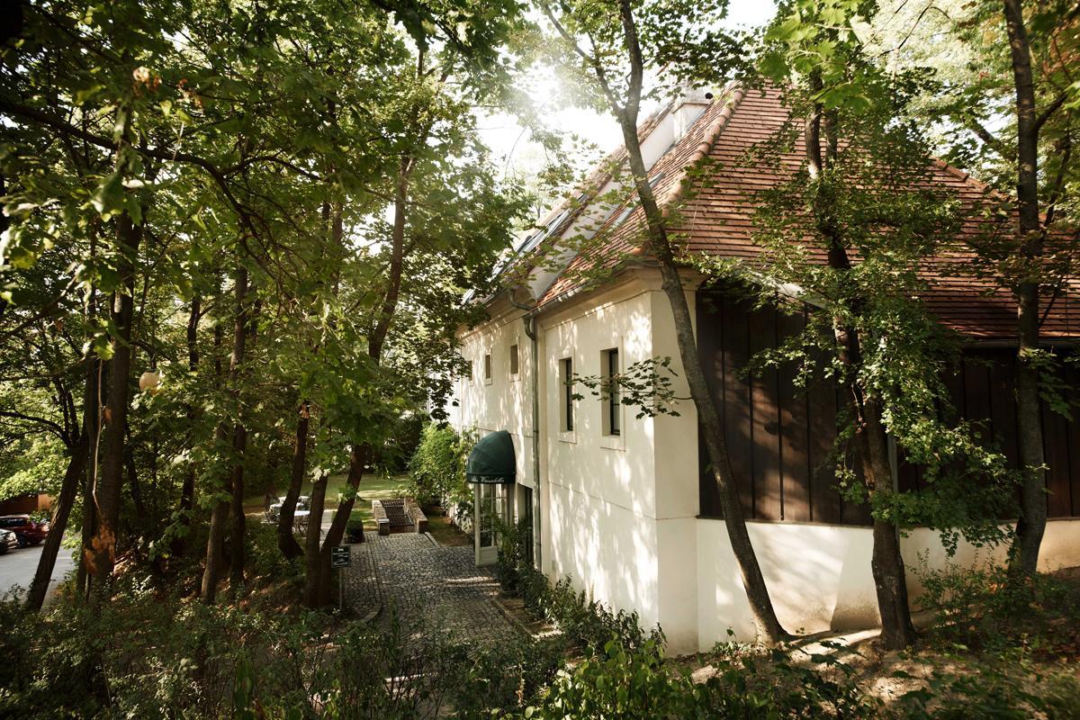 Alter Winzerkeller Bed & Breakfast Kirchberg am Wagram ภายนอก รูปภาพ